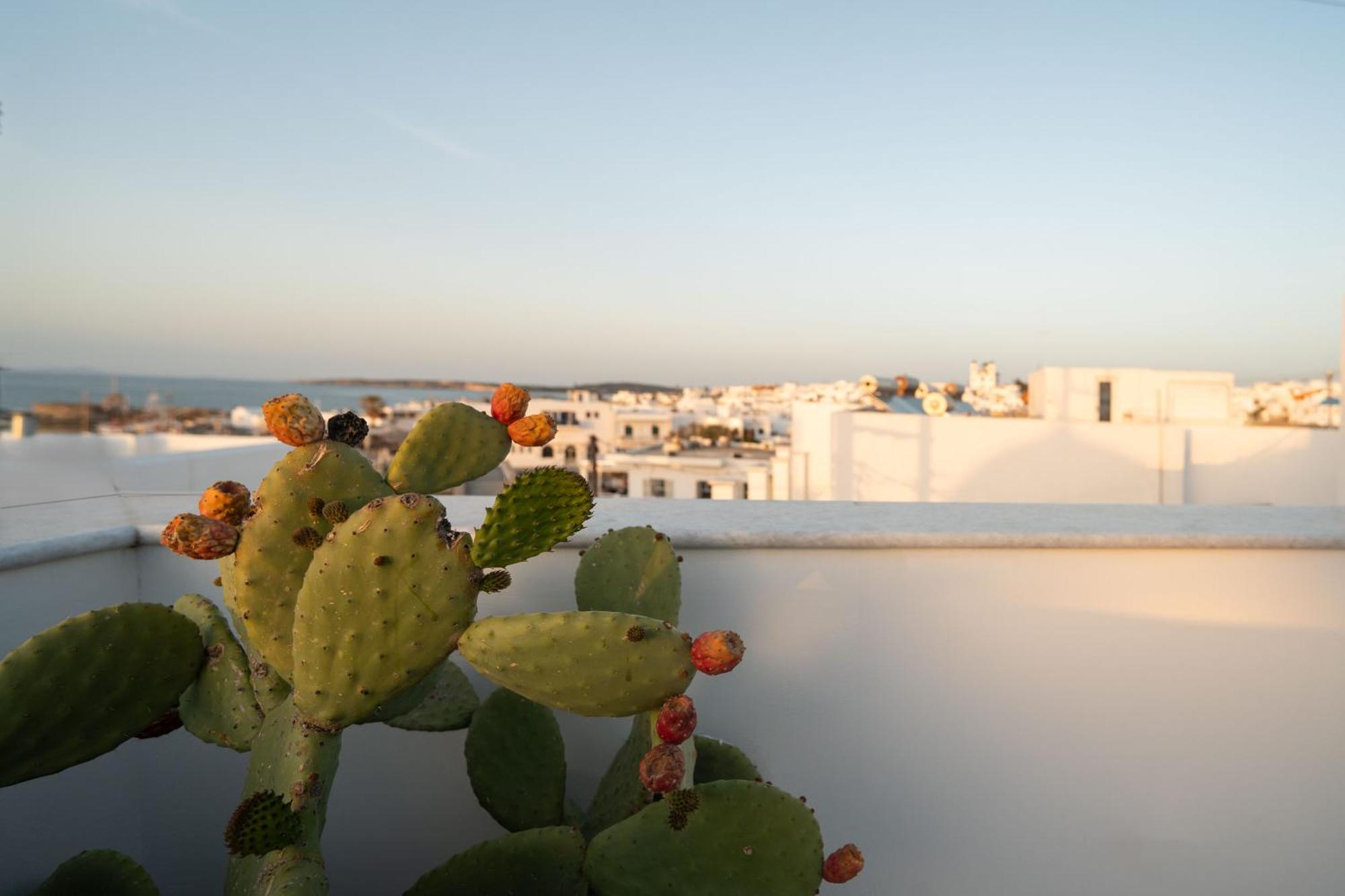 Nevma Naousa Boutique Apartment Exterior photo